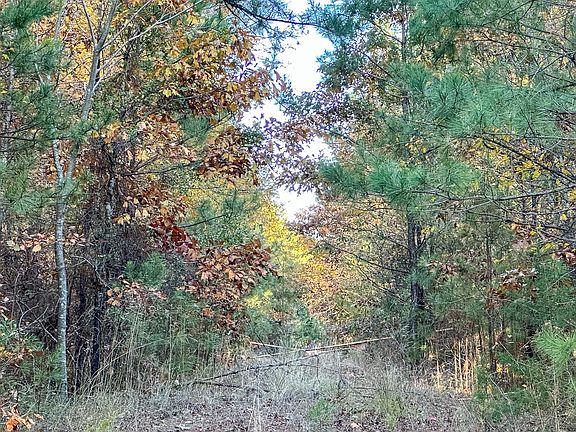 5th image of 0 County Road 2108