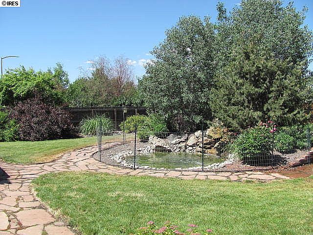 Back yard