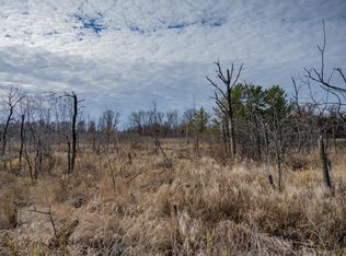 33.19 Acres Hwy #80, Necedah, WI 54646