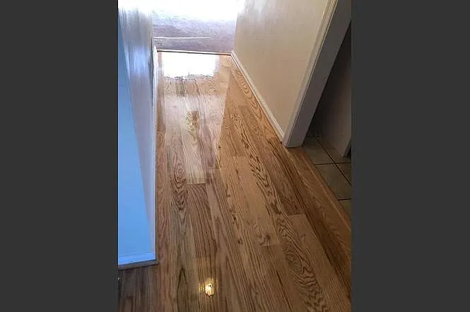1724 Elbert Dr — Photo 14