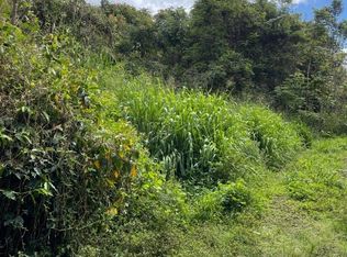 Kingsley Rd, Kealakekua, HI 96750