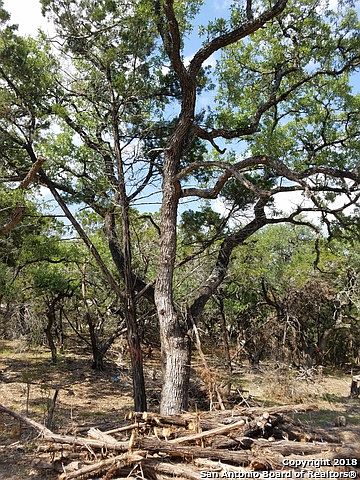 1st image of 2291 Fm 484