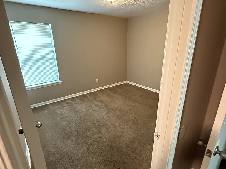 3386 Spring Water Cv — Photo 21