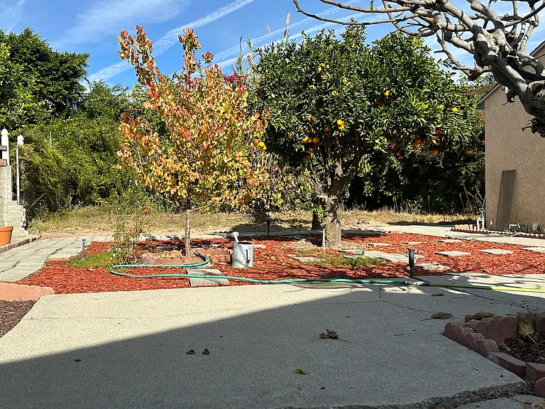 Tiara St — Photo 35