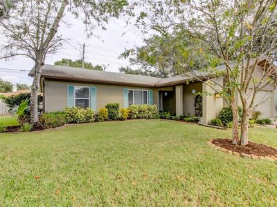 1106 Pelican Pl, Safety Harbor, FL, 34695