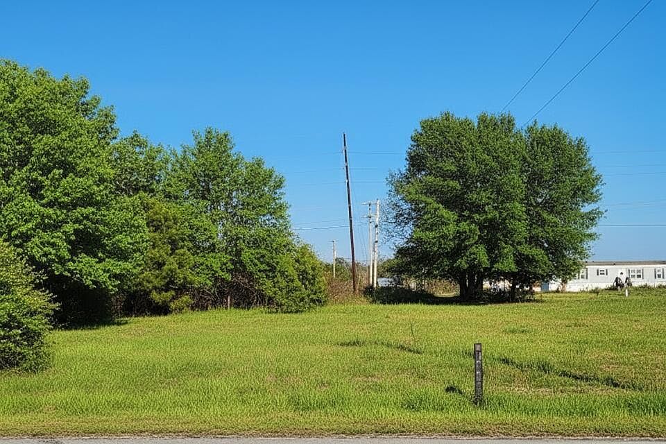 2nd image of 1194 Carolina 101