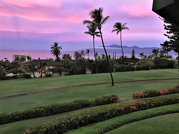 IMG_3956 copy_03162021