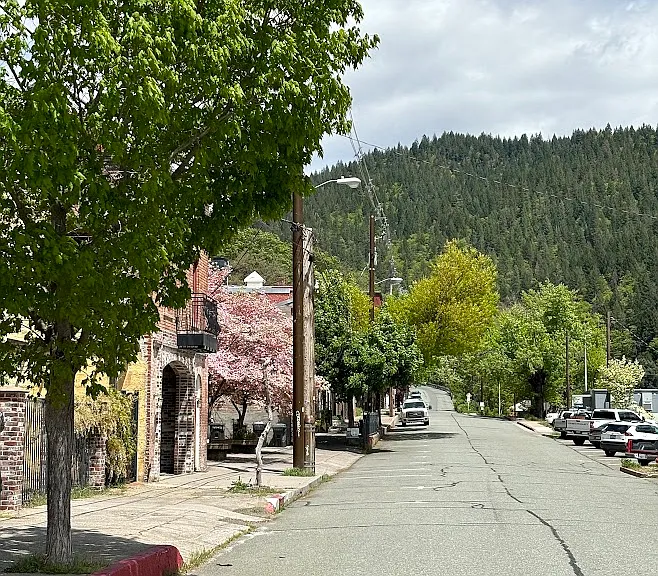 Street_04212026