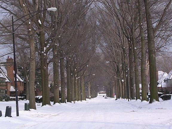 Winter on Brewster Road