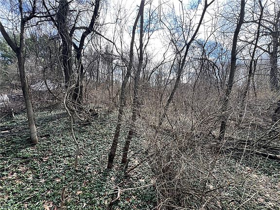 4th image of 0 Spruce Dr