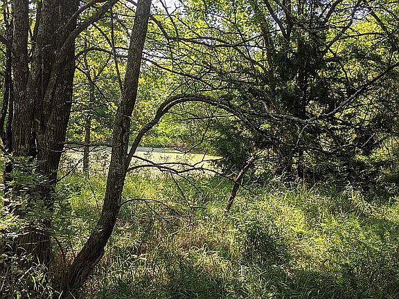 Pond