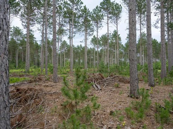 Lot 5 Bollig Court #5, Nekoosa, WI 54457