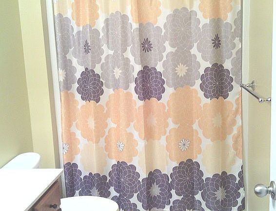 3rd image of 338 Harris St #A