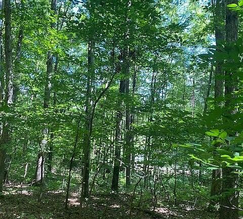 4th image of 13 Mountain Lake Dr Unit 13