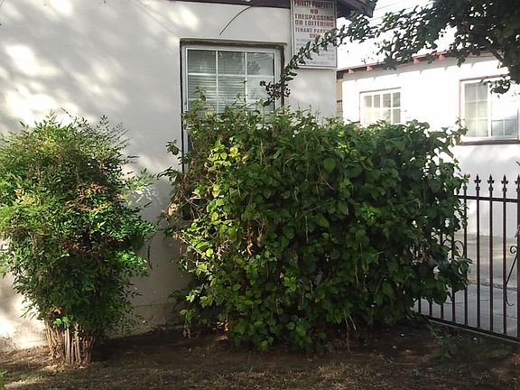 4th image of 834 Davidson Ave