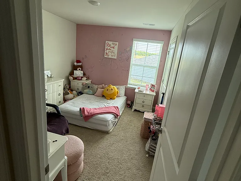 344 Sadie Mae Dr — Photo 39