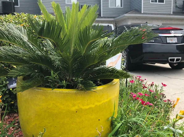 692 Riverfront Dr, Augusta, GA 30901