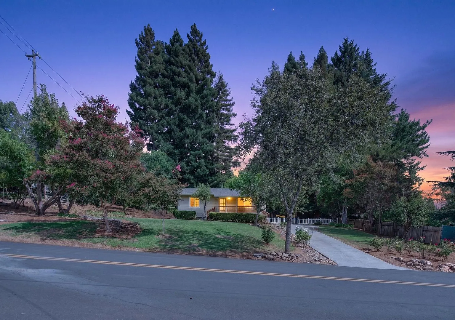 A Cottage in the Redwoods — Photo 1