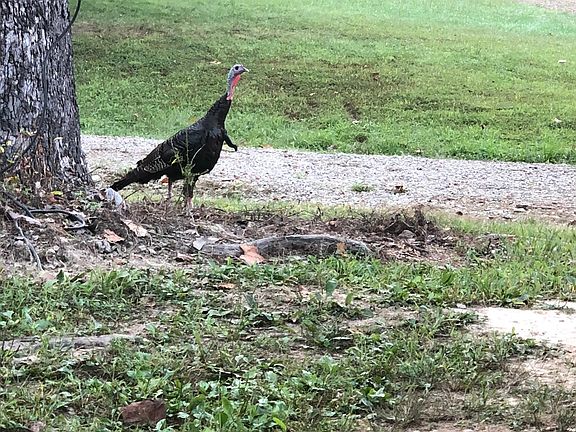 78th image of this home