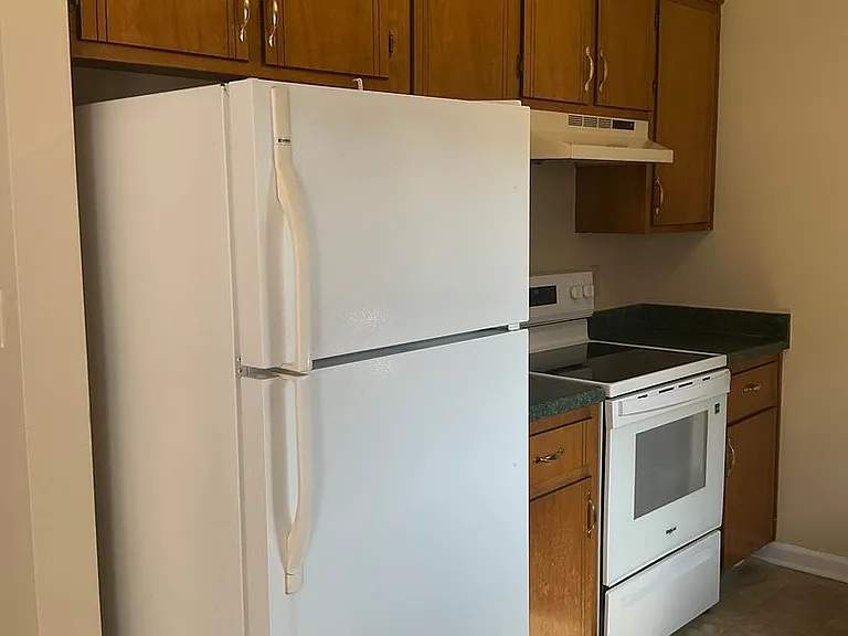 910 Dolphin Ln — Photo 10