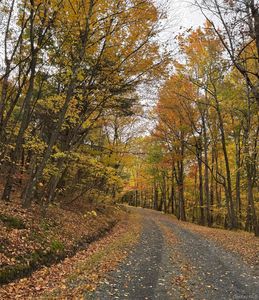 100 Knob Hill Road, Stanfordville, NY, 12581