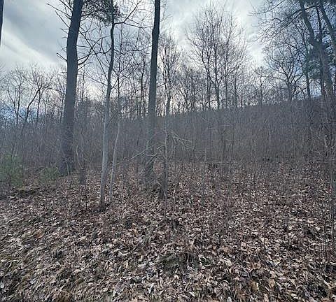 5th image of 1403 Paxton Dr