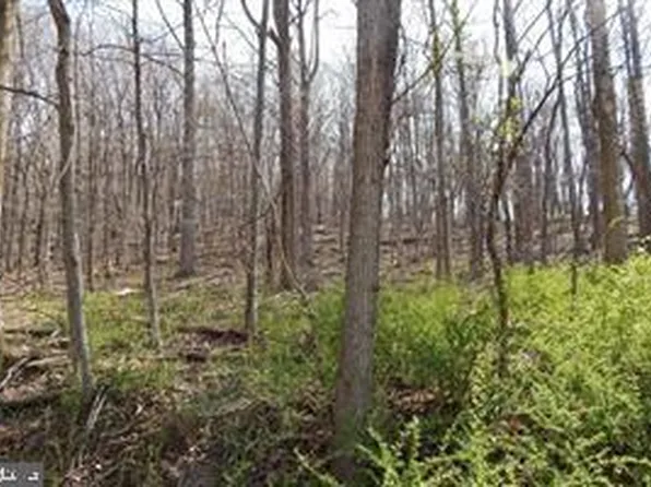 3 Spicy Cedar Ln, Berkeley Springs, WV 25411