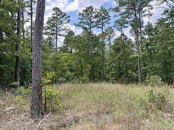 2nd image of 000 Texas Tower Road