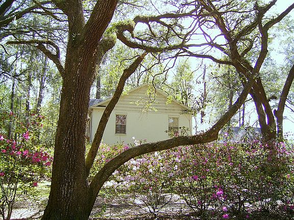 side view of house thru oaks