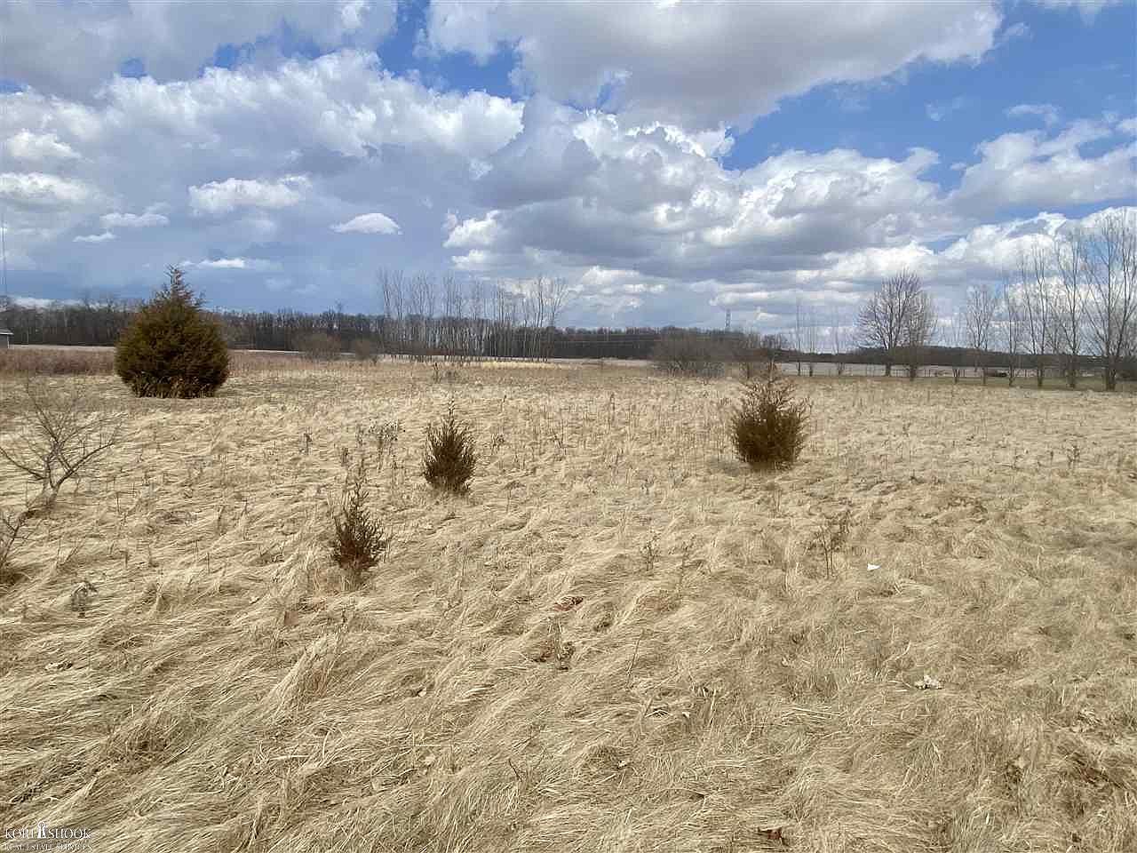 Chesaning Rd, Chesaning, MI 48616 Zillow