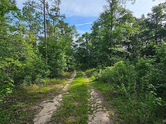 4th image of 931 County Road 216