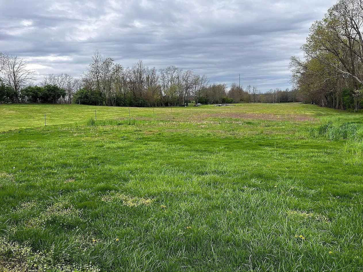 2 bed, 1000 sqft, $1,200 — Photo 3