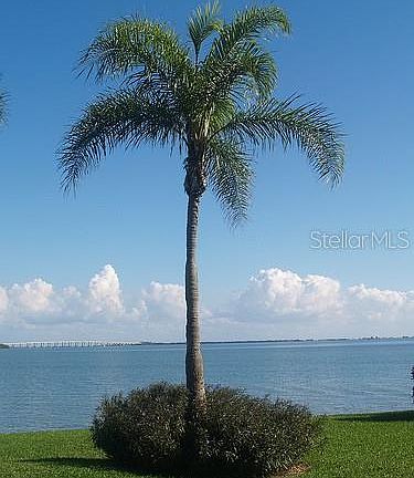 3rd image of 6219 Palma Del Mar Blvd S APT 203