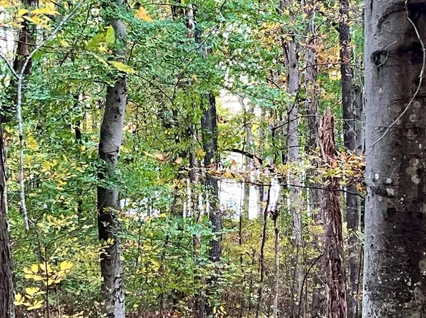 0 Sandy Beach Rd, Springville, TN 38256
