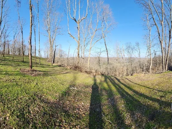 0 Ferguson Hollow Rd Lot 5, Buffalo Valley, TN 38548