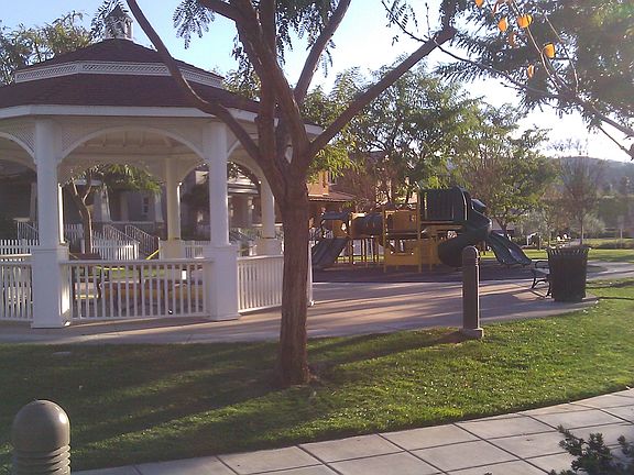 view from  front yard