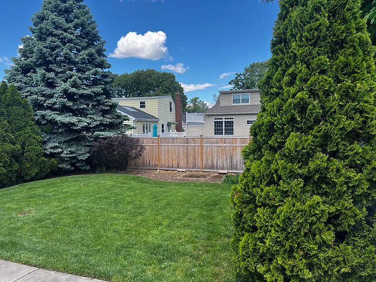 Backyard view