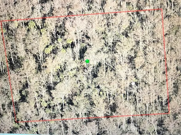 No St Lot 115, Oak Hill, FL 32759