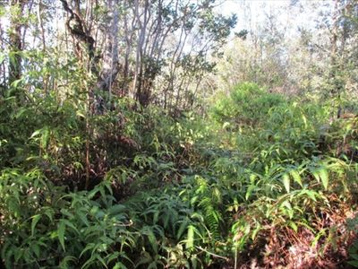 Ala Naualani, Volcano, HI, 96785