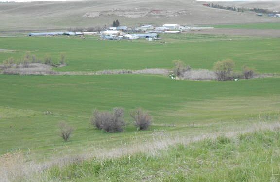 4th image of Eden Park Ln