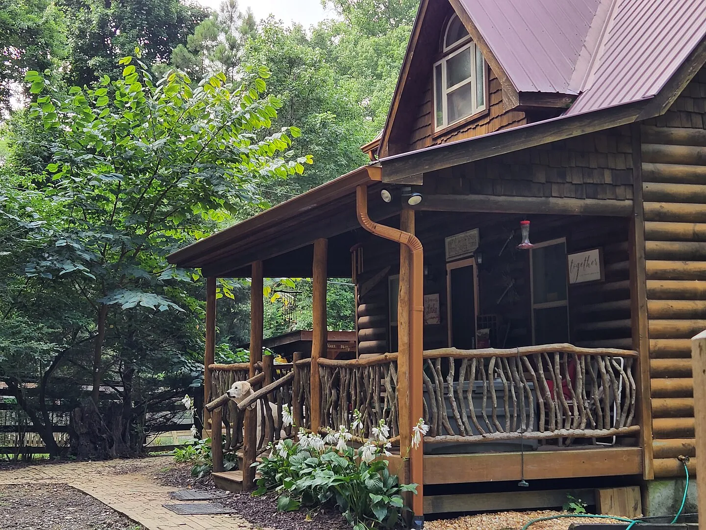 Dragonfly Glade — Photo 3