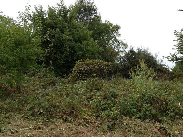 2nd image of 1439 Saint Joseph Rd