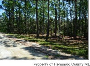 Medicine Stone Dr, Webster, FL 33597