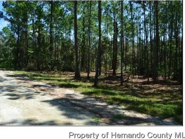 Medicine Stone Dr, Webster, FL 33597