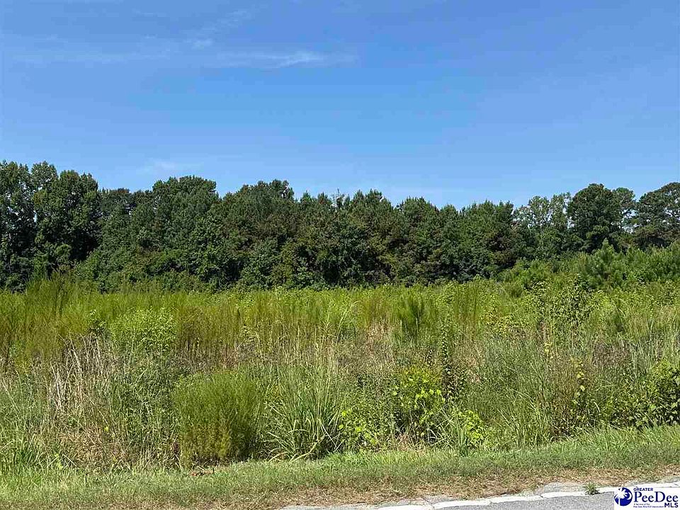 1st image of Spring Branch Rd