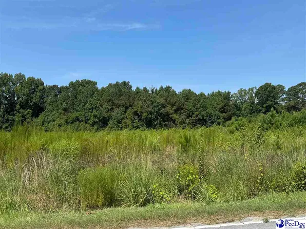 Spring Branch Rd, Nichols, SC 29581