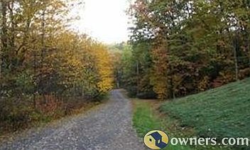 Our Driveway to House