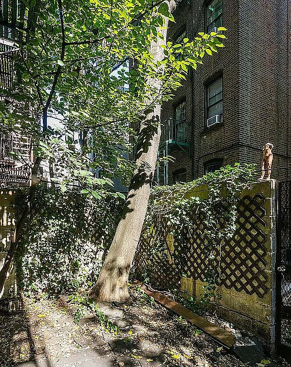 1st image of 110 Suffolk St APT 1B