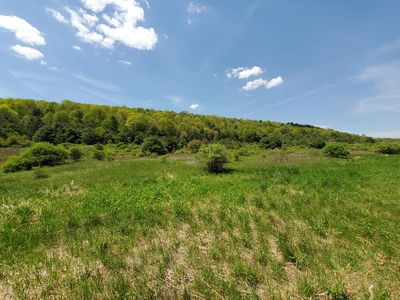 0 Hugg Rd, Lowman, NY, 14861
