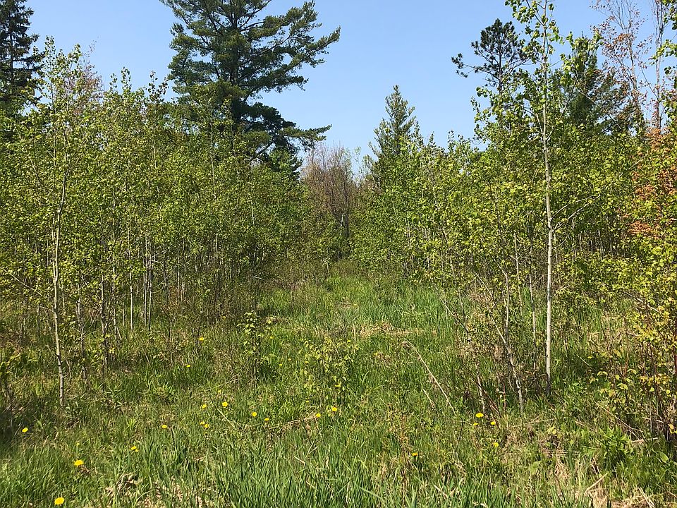 2nd image of PARCEL 008001990100 Holmes Rd